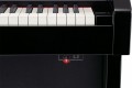 Roland HP-508-CB